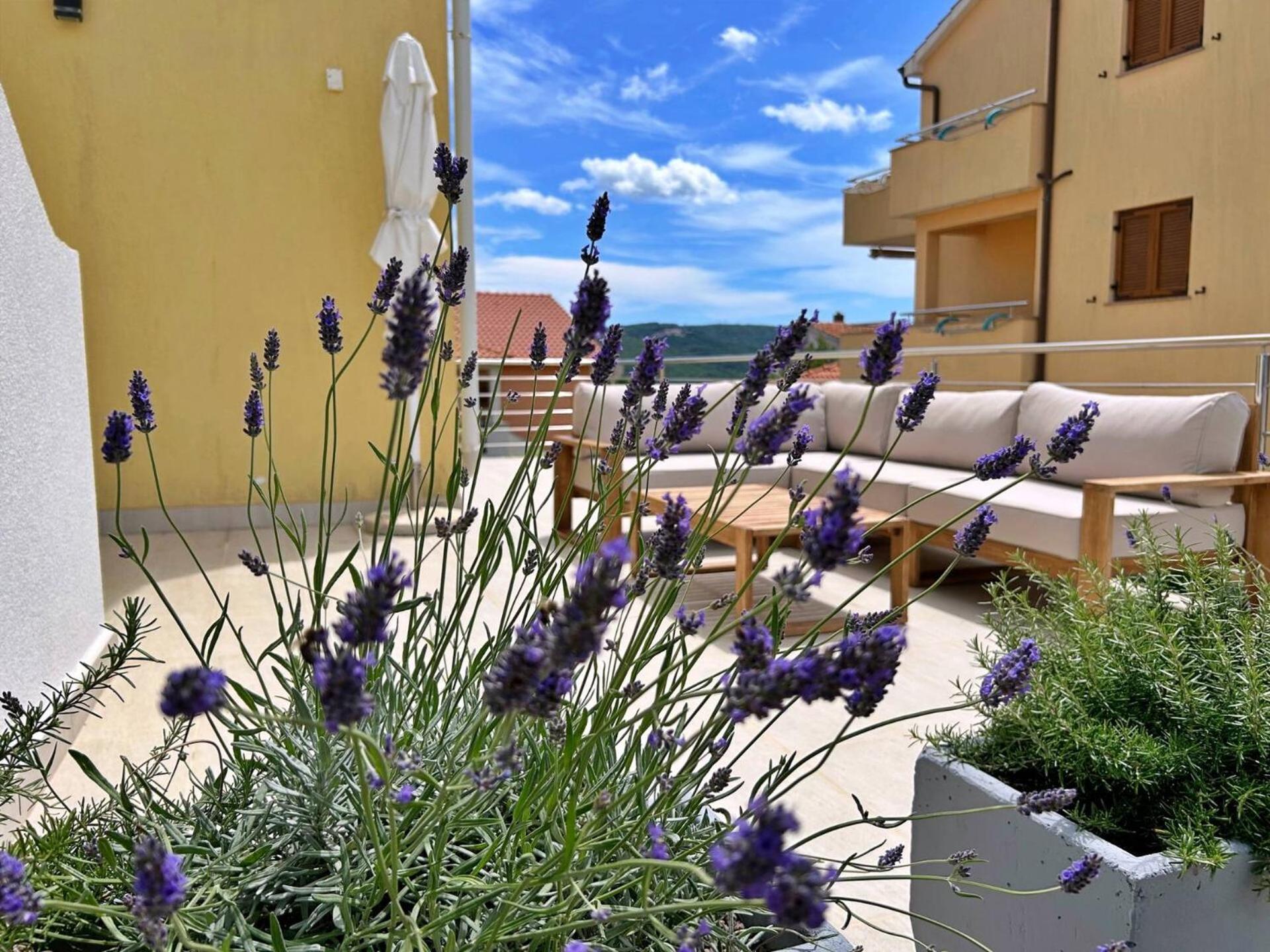 Apartments Pinta De Sol Чизичі Екстер'єр фото
